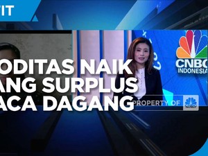 Kenaikan Harga Komoditas Topang Surplus Neraca Dagang Mei