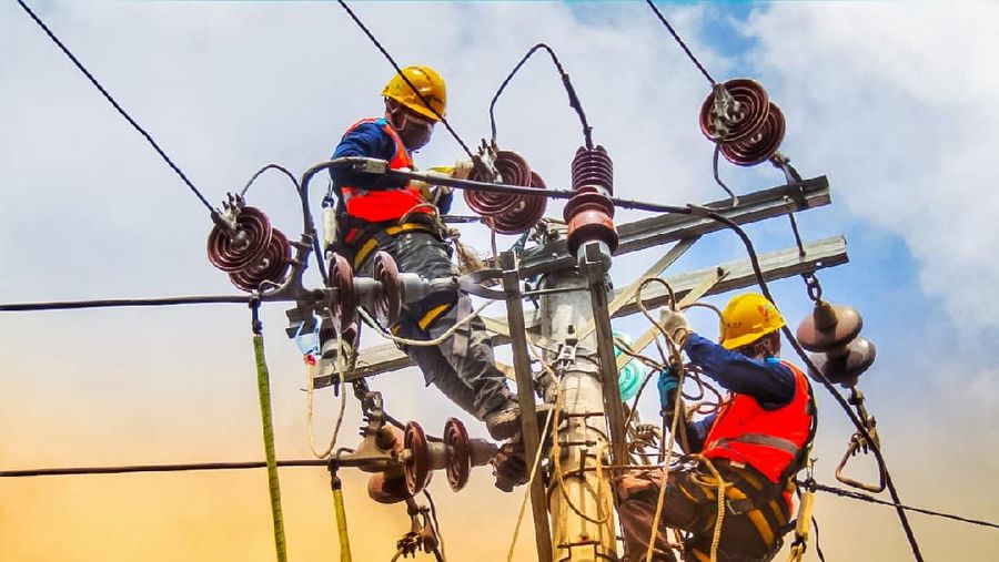 PLN