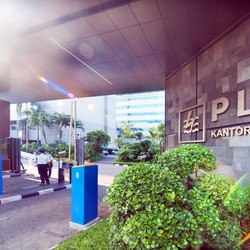 Wamen BUMN Beberkan Alasan Bentuk Holding-Subholding PLN