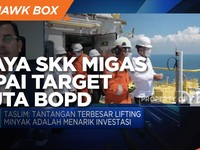 Investasi Jadi Tantangan SKK Migas Capai Target 1 Juta BOPD