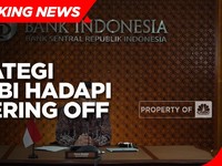 Strategi Bos BI Hadapi Efek Tapering The Fed
