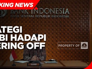Strategi Bos BI Hadapi Efek Tapering The Fed