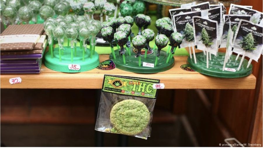 foto/ tetrahydrocannabinol (THC)/ foto : Detik News