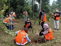 Peduli Kelestarian Alam, BNI Sukses Kembangkan Hutan Organik