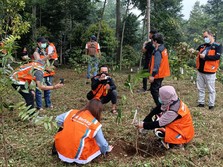 Peduli Kelestarian Alam, BNI Sukses Kembangkan Hutan Organik