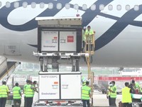 RI Kedatangan 10 Juta Bulk Vaksin Covid-19 Sinovac China