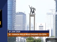Jam Operasional Mal Dipangkas Hingga Harga CPO Anjlok