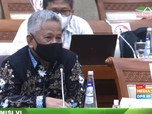 Ini PR Besar Holding Perkebunan Usai Restrukturisasi Jumbo!