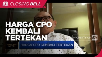 Ekspektasi Penambahan Supply Dorong Koreksi Harga CPO
