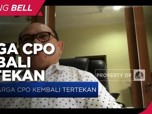 Ekspektasi Penambahan Supply Dorong Koreksi Harga CPO