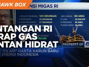 Eksploitasi Sangat Mahal, Tantangan RI Garap Gas Metan Hidrat