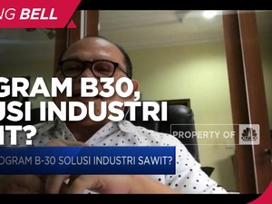 PASPI: Program B30, Cara RI Kendalikan Pasar Sawit Dunia