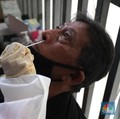 Bebas PNBP, Tarif Uji Alat Tes Rapid Antigen Rp 694 Ribu!