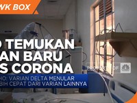 Varian Delta Kuasai Dunia, Kini WHO Temukan Varian Baru!