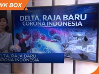 Varian Delta, Raja Baru Corona Indonesia