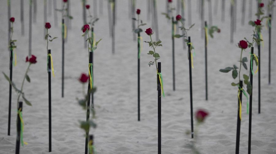 Roses are placed on Copacabana beach to honor the 500,000 COVID-19 deaths and to protest against Brazilian President Jair Bolsonaro and his handling of the COVID-19 pandemic, in Rio de Janeiro, Brazil, Sunday, June 20, 2021. Brazil's COVID-19 death toll surpassed the milestone of 500,000 deaths on Saturday night. (AP Photo/Silvia Izquierdo)