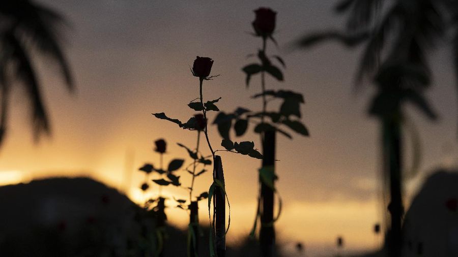 Roses are placed on Copacabana beach to honor the 500,000 COVID-19 deaths and to protest against Brazilian President Jair Bolsonaro and his handling of the COVID-19 pandemic, in Rio de Janeiro, Brazil, Sunday, June 20, 2021. Brazil's COVID-19 death toll surpassed the milestone of 500,000 deaths on Saturday night. (AP Photo/Silvia Izquierdo)