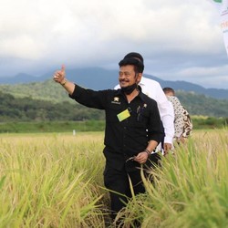 Harga Sembako Bikin Emosi, Mentan Ngaku Ada Dinamika