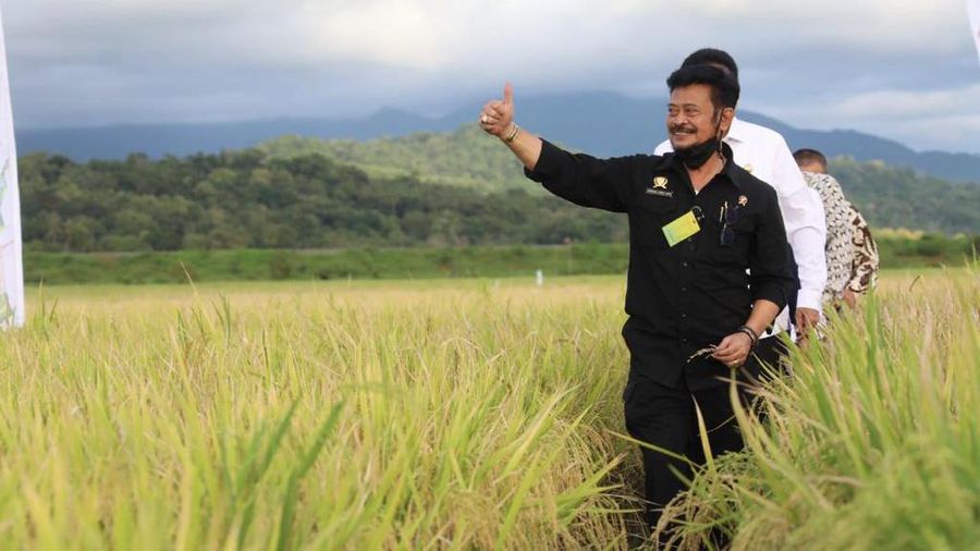 Menteri Pertanian Syahrul Yasin Limpo