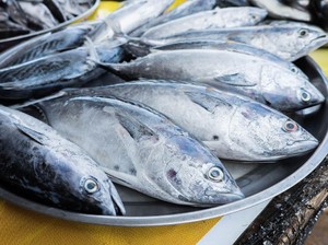 Harga Sembako Jogja Hari Ini 8 Oktober 2024: Ikan Tongkol Rp 32.500 Per Kilo