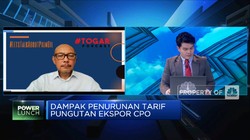 Ini Penyebab Ekspor CPO RI ke India Kalah dari Malaysia
