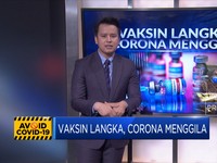 Vaksin Langka, Corona Menggila