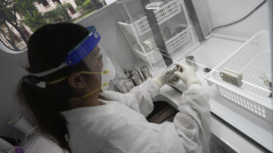Tiger, a Labrador Retriever, sits in front of a sample of human sweat after detecting the COVID-19 coronavirus at a mobile canine unit in Bangkok, Thailand, Thursday, June 17, 2021. Thailand has deployed a canine virus detection squad to help provide a fast and effective way of identifying people with COVID-19 as the country faces a surge in cases, with clusters found in several crowded slum communities and large markets. (AP Photo/Sakchai Lalit)