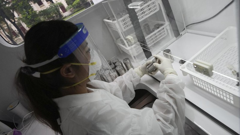 Tiger, a Labrador Retriever, sits in front of a sample of human sweat after detecting the COVID-19 coronavirus at a mobile canine unit in Bangkok, Thailand, Thursday, June 17, 2021. Thailand has deployed a canine virus detection squad to help provide a fast and effective way of identifying people with COVID-19 as the country faces a surge in cases, with clusters found in several crowded slum communities and large markets. (AP Photo/Sakchai Lalit)