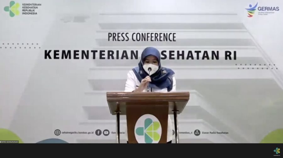 Direktur Pencegahan dan Pengendalian Penyakit Tular Vektor dan Zoonotik Direktorat Jenderal Pencegahan dan Pengendalian Penyakit Kementerian Kesehatan Siti Nadia Tarmizi (Tangkapan Layar Youtube Kemenkes)