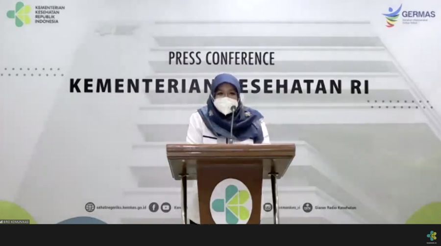 Direktur Pencegahan dan Pengendalian Penyakit Tular Vektor dan Zoonotik Direktorat Jenderal Pencegahan dan Pengendalian Penyakit Kementerian Kesehatan Siti Nadia Tarmizi (Tangkapan Layar Youtube Kemenkes)