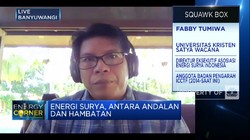 Harga Listrik Yang Mahal Jadi Tantangan Pengembangan PLTS
