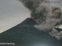 Gunung Merapi Semburkan Awan Panas 5 Kali, Terjauh 3 Km!