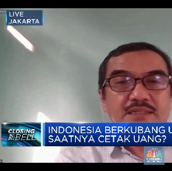 Hati-hati! Kemampuan Bayar Pengaruhi Keamanan Utang RI