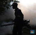 Waspada Ya Bunda, Ada Potensi Demam Berdarah di Rumah Lho...
