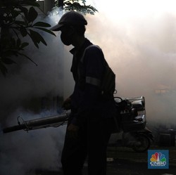 BMKG Peringatkan Seluruh Wilayah DKI Waspada DBD, Kok Bisa?