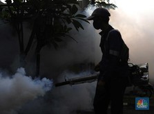 Waspada Ya Bunda, Ada Potensi Demam Berdarah di Rumah Lho...