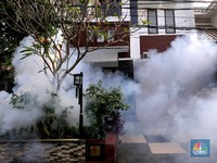 Jangan Lengah! Wabah DBD Mengancam Saat Kasus Covid Melonjak