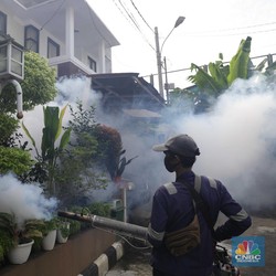 Waspada, Ini 5 Cara Pencegahan Demam Berdarah Dengue (DBD)