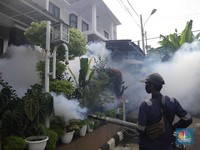 Waspada, Ini 5 Cara Pencegahan Demam Berdarah Dengue (DBD)