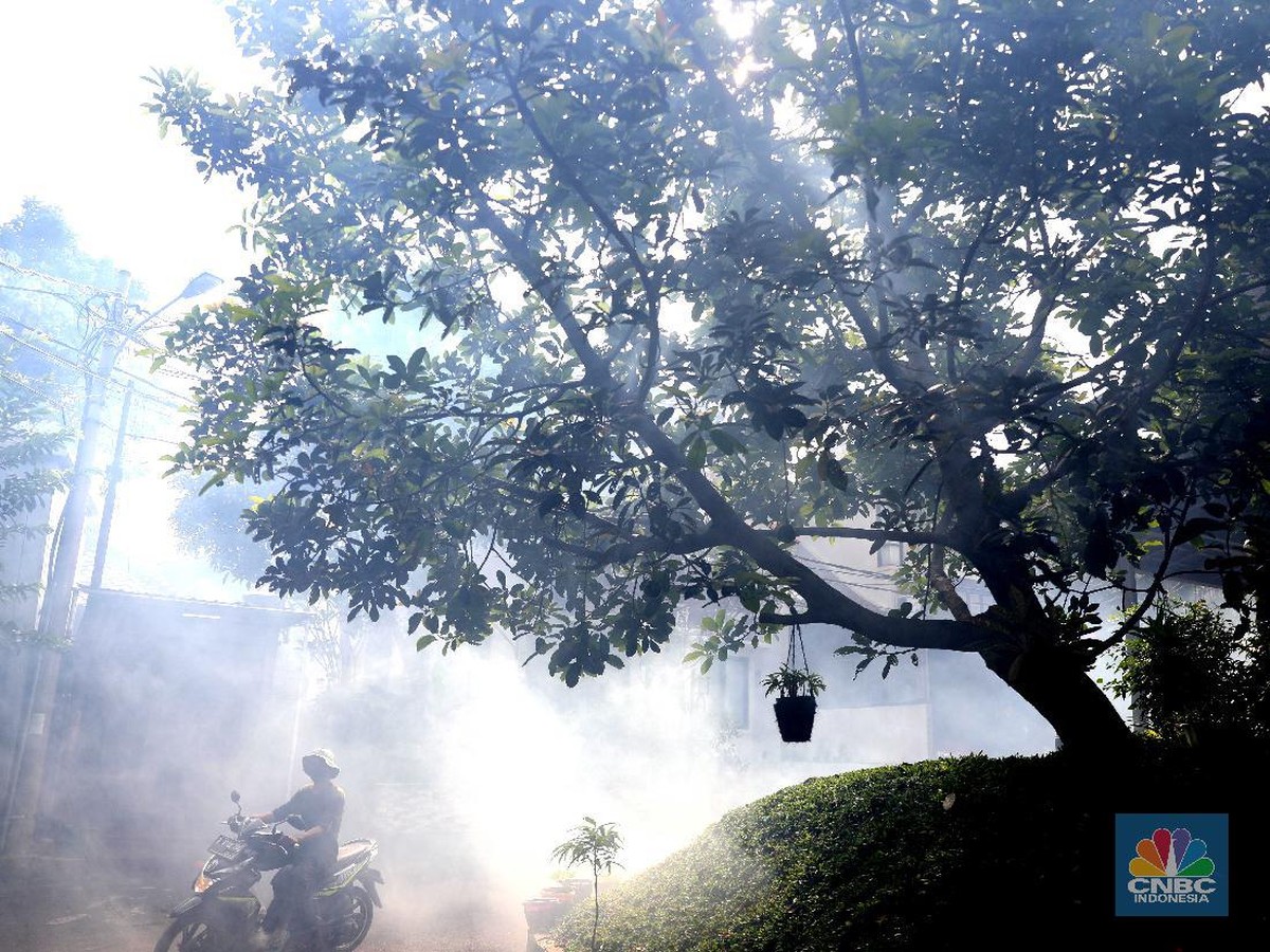 BMKG Prediksi Musim Hujan 2025-2026 Awal, Waspadai Risiko Wabah DBD