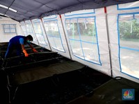 Beda dengan Jabar, DKI Catat Kasus Corona 484 Orang Hari Ini