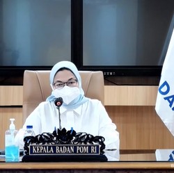 Di DPR, Bos BPOM Bicara Heboh Ivermectin Hingga Uji Kliniknya