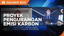 Upaya RI Gaet Swasta di Proyek Pengurangan Emisi Karbon