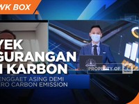 Upaya RI Gaet Swasta di Proyek Pengurangan Emisi Karbon