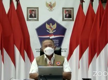 BNPB Sebut Ada 20 Provinsi 'Bandel' Nih, Kenapa?