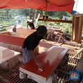 Corona RI Mulai Jinak, Tapi Permintaan Peti Mati Melonjak!