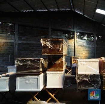 Produksi Setengah Mati, Pabrik Peti Mati Kewalahan