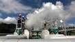 Misteri Investor Kakap di IPO Pertamina Geothermal