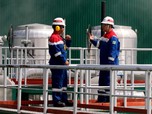 Erick: IPO PGE Jadi Aksi Korporasi Terbesar ke-5 di Bursa