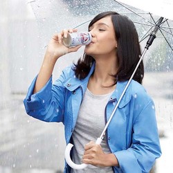 Susu Beruang Disebut Bisa Bersihkan Paru-Paru, Mitos atau Fakta?